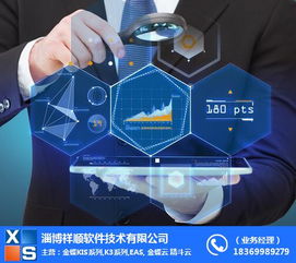 集团ERP与祥顺软件 滨州计算机软件开发优势
